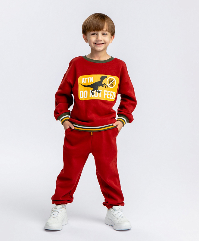 Брюки трикотажные с начесом для мальчика