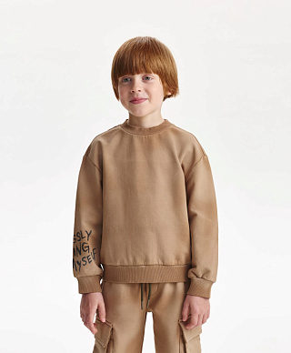 Свитшот для мальчика из футера с начесом