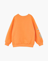 Свитшот для мальчика