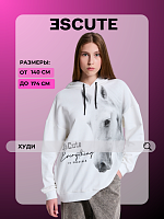 Худи