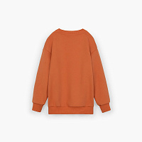 Свитшот для мальчика