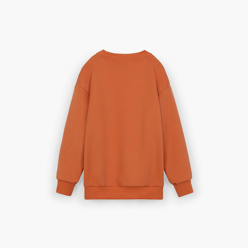 Свитшот для мальчика