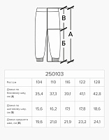 Шорты для мальчика
