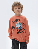 Свитшот для мальчика