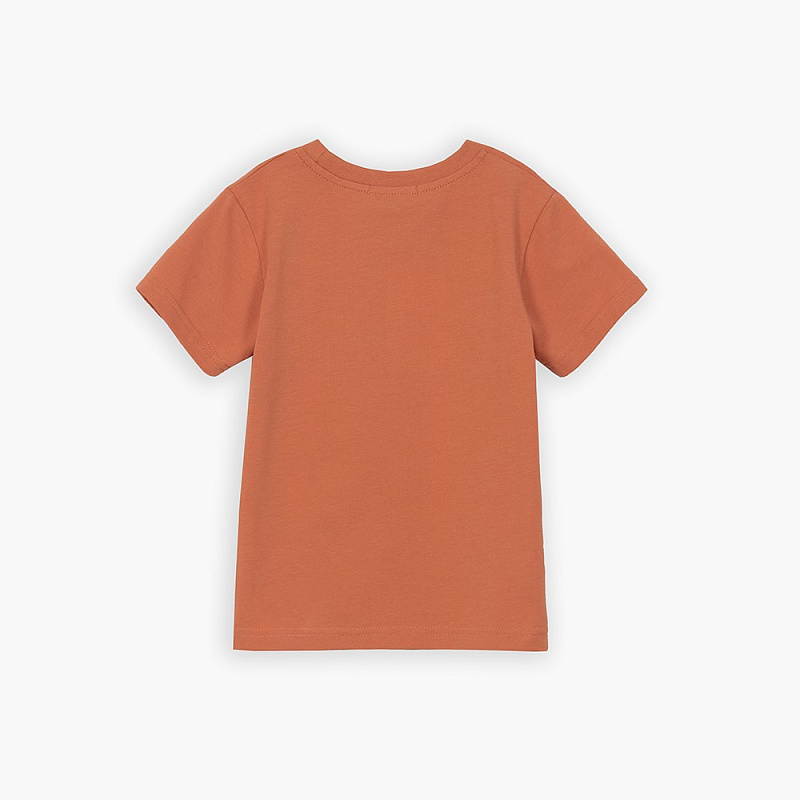 Футболка для мальчика