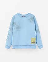 Свитшот для мальчика