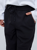 Брюки Softshell