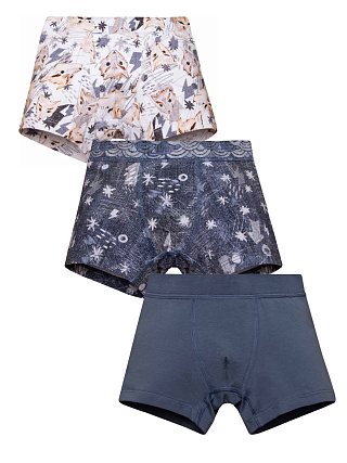 Набор из 3 трусов для мальчика