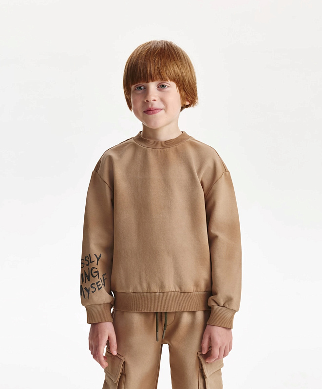 Свитшот для мальчика из футера с начесом